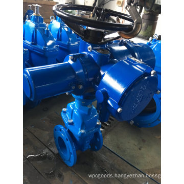 Electric Gate Valve DIN/BS Double Flange Non-Rising Stem